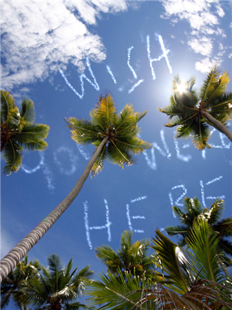 Sky Writing HD iPad App picture 01